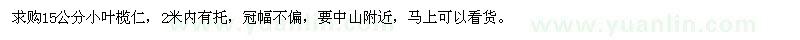 求購(gòu)15公分小葉欖仁