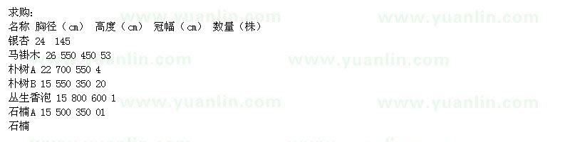 求購銀杏、馬褂木、樸樹