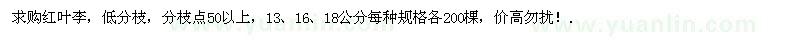 求購(gòu)13、16、18公分紅葉李