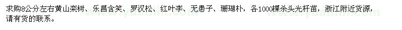 求購黃山欒樹、樂昌含笑、羅漢松等