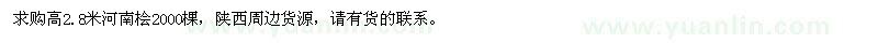 求購高2.8米河南檜
