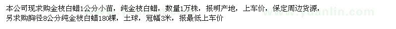 求購1、8公分純金枝白蠟