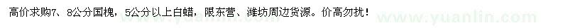 求購國槐、白蠟