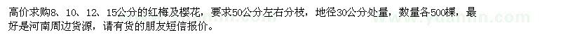 求購紅梅、櫻花