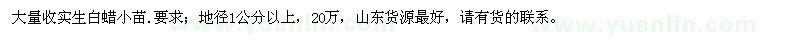 求購地徑1公分以上白蠟小苗
