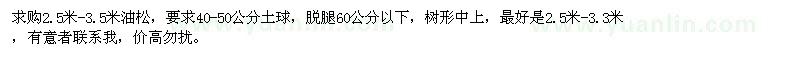 求購(gòu)2.5-3.5米油松