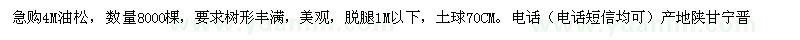 求購(gòu)4米油松
