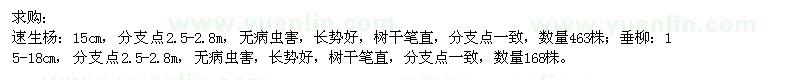 求購速生楊、垂柳