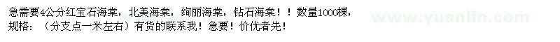 求購4公分紅寶石海棠、北美海棠、絢麗海棠