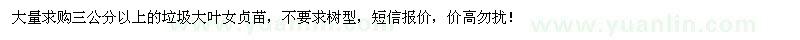求購(gòu)3公分以上垃圾大葉女貞