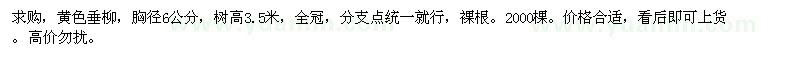 求購(gòu)6公分黃色垂柳