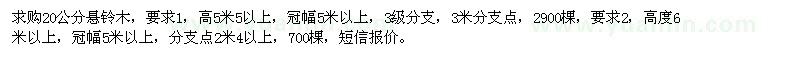 求購20公分懸鈴木