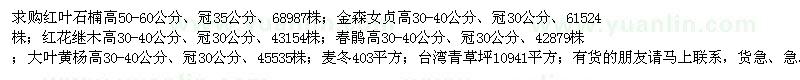 求購紅葉石楠、金森女貞、紅花繼木、春鵑等苗木