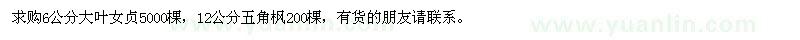 求購大葉女貞、五角楓