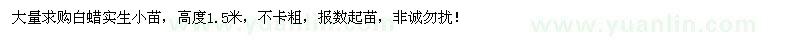 求購(gòu)白蠟實(shí)生小苗