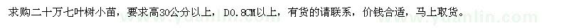 求購高30公分以上七葉樹小苗