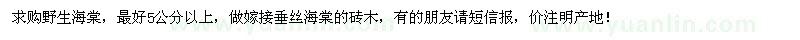 求購(gòu)5公分以上野生海棠