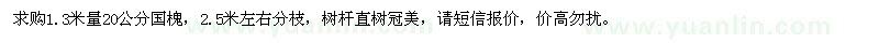 求購1.3米量20公分國槐