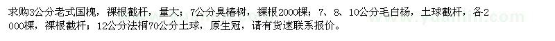 求購國槐、臭椿、毛白楊、法桐