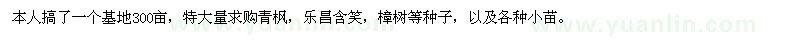求購(gòu)青楓、樂(lè)昌含笑、樟樹(shù)