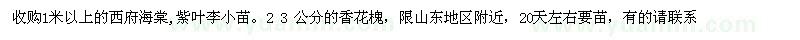求購(gòu)西府海棠、紫葉李小苗