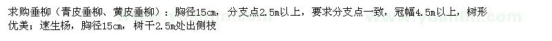 求購(gòu)垂柳（青皮、黃皮）、速生楊