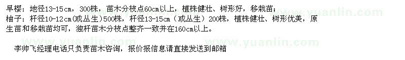 求購早櫻、柚子