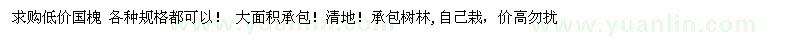 求購國槐