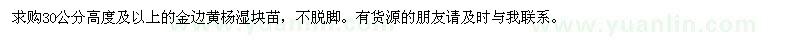 求購(gòu)金邊黃楊
