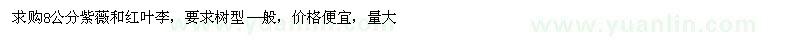 求購8公分紫薇和紅葉李