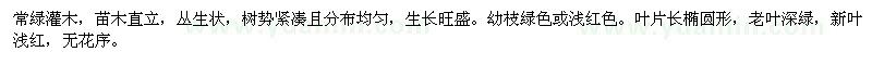 求購(gòu)森林之光馬醉木