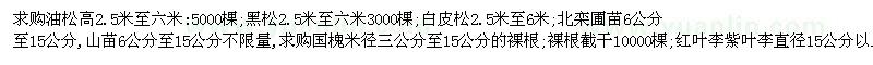 求購油松、黑松、白皮松等