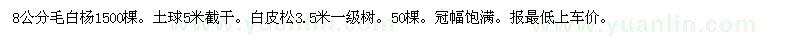 求購毛白楊