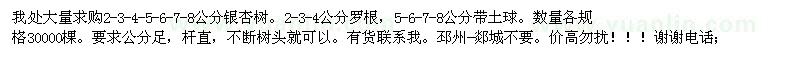 求購2-8公分銀杏樹