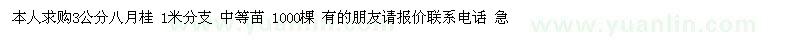 求購3公分八月桂