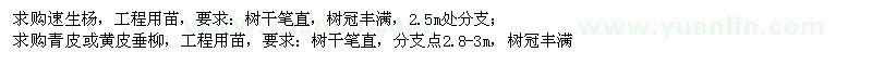 求購速生楊、垂柳（青皮、黃皮）