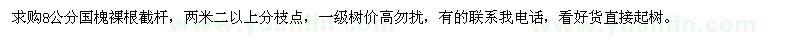 求購8公分國槐