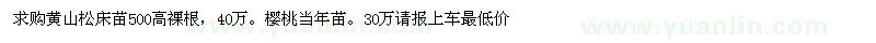 求購黃山松床苗、櫻桃