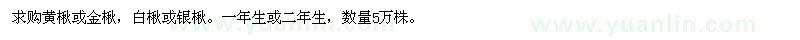 求購楸樹苗