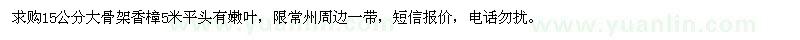 求購15公分香樟大骨架
