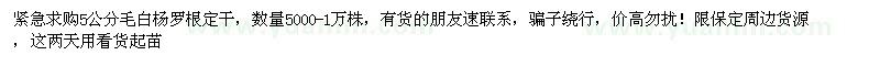 求購5公分毛白楊