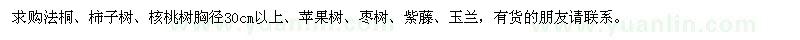 求購(gòu)法桐、柿子樹、蘋果樹