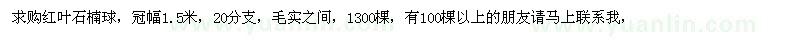 求購(gòu)冠幅1.5米紅葉石楠球