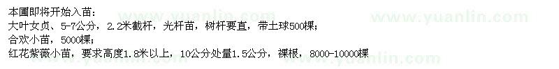 求購大葉女貞、合歡、紫薇