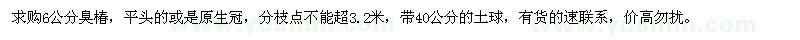 求購6公分臭椿