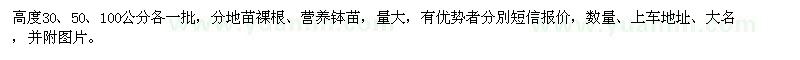 求購楨楠小苗
