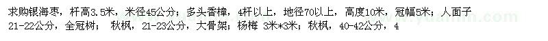 求購銀海棗、多頭香樟、人面子