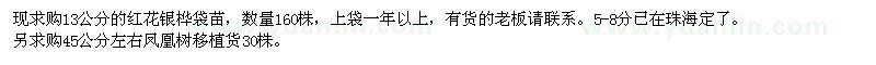 求購紅花銀樺袋苗、鳳凰樹