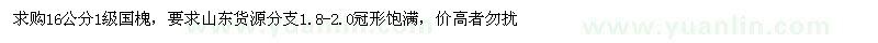 求購16公分1級國槐