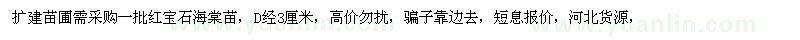 求購地徑3公分紅寶石海棠